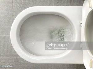 gettyimages-1324976482-170667a.jpg